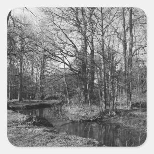 Pegatina Cuadrada Paisaje del Parque - Parque Bute, Cardiff