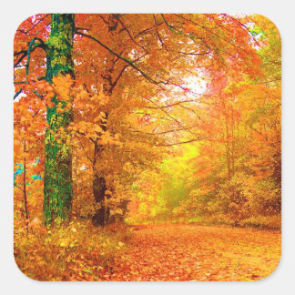 Pegatina Cuadrada Paisaje natural del otoño de Vermont