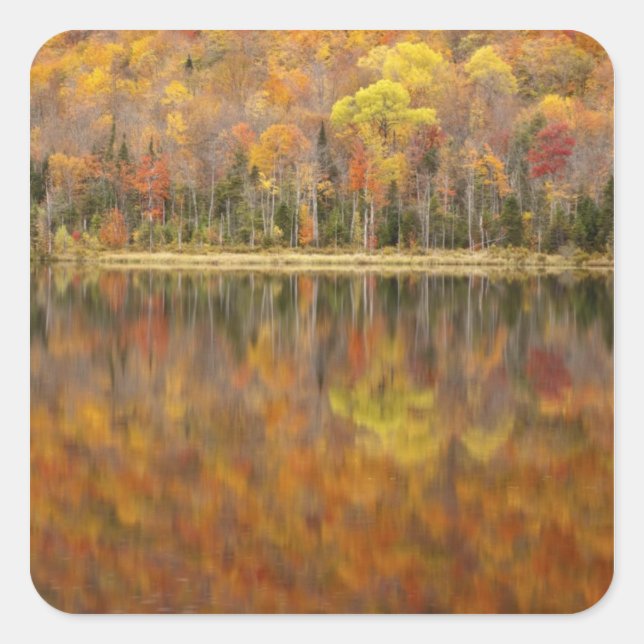 Pegatina Cuadrada Paisaje otoñal con lago, Vermont, Estados Unidos (Anverso)