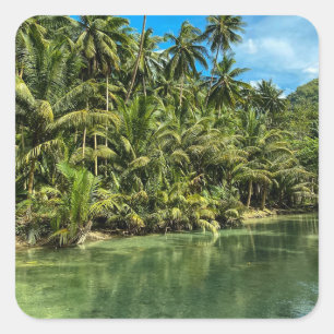 Pegatina Cuadrada Paisaje tropical, filipinas, caídas de Kawasan Cas
