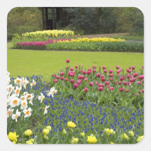 Pegatina Cuadrada Países Bajos (Holanda), Lisse. Keukenhof 5