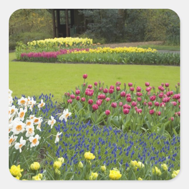Pegatina Cuadrada Países Bajos (Holanda), Lisse. Keukenhof 5 (Anverso)