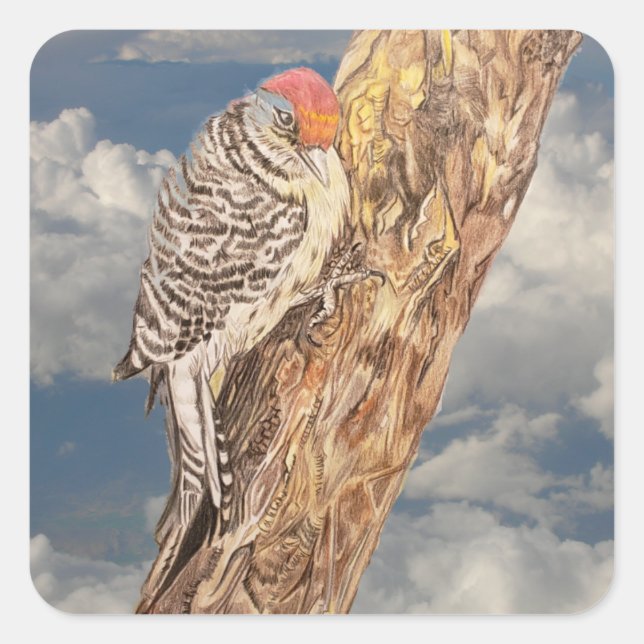 Pegatina Cuadrada Pájaro carnoso de cabeza roja (Anverso)