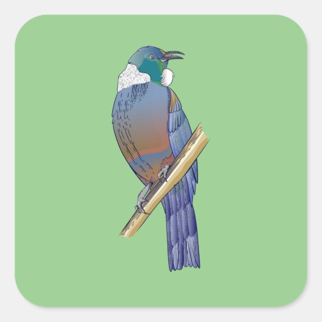 Pegatina Cuadrada Pájaro de Nueva Zelanda (Anverso)