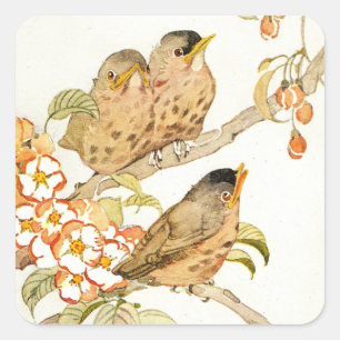 Pegatina Cuadrada Pájaros Bebés y Flores de Manzano Vintage