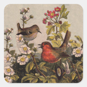 Pegatina Cuadrada Pájaros Cantores Robin Botánico Floral Vintage