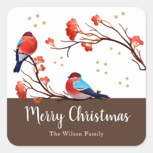 Pegatina Cuadrada Pájaros estilo Robin En Navidades De Rama De Berry