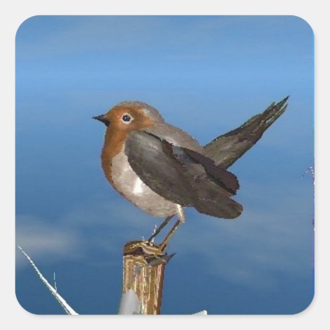 PEGATINA CUADRADA PÁJAROS HIPPER / MAMA ROBINA ROJA (Anverso)