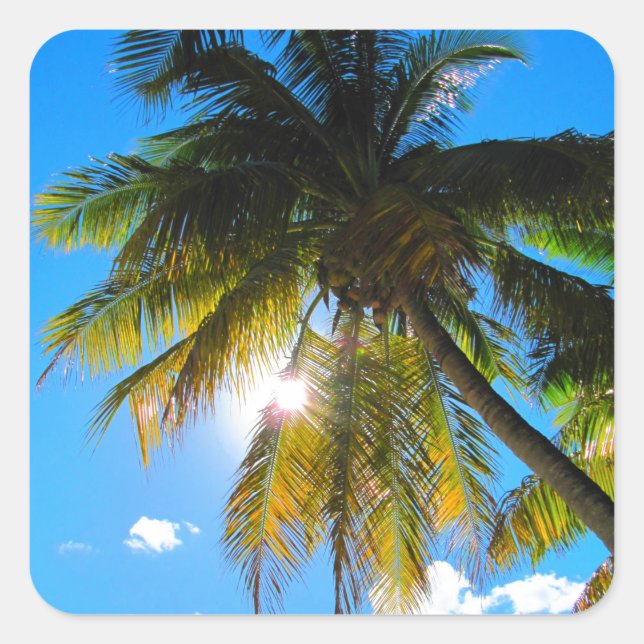 Pegatina Cuadrada Palm Paradise Blue Sky Sunshine (Anverso)