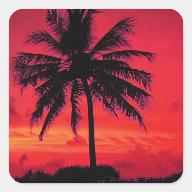 Pegatina Cuadrada Palm Trees Exóticas Rojas de Hawaii Sunset (Anverso)