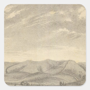 Pegatina Cuadrada Palmer res, viñedo