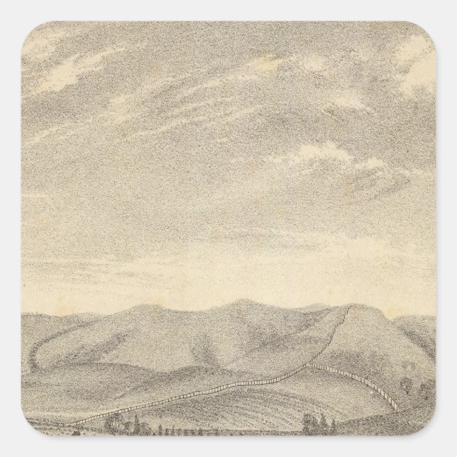 Pegatina Cuadrada Palmer res, viñedo (Anverso)