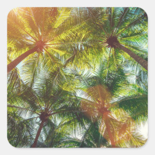 Pegatina Cuadrada Palmeras de coco en la playa