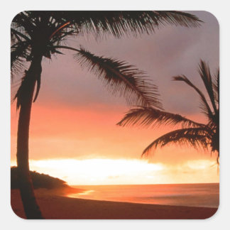 Pegatina Cuadrada Palmeras de Isla Tropical República Dominicana