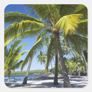 Pegatina Cuadrada Palmeras, Parque Histórico Nacional Pu'uhonua o