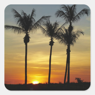 Pegatina Cuadrada Palmeras y puesta de sol, playa de Mindil