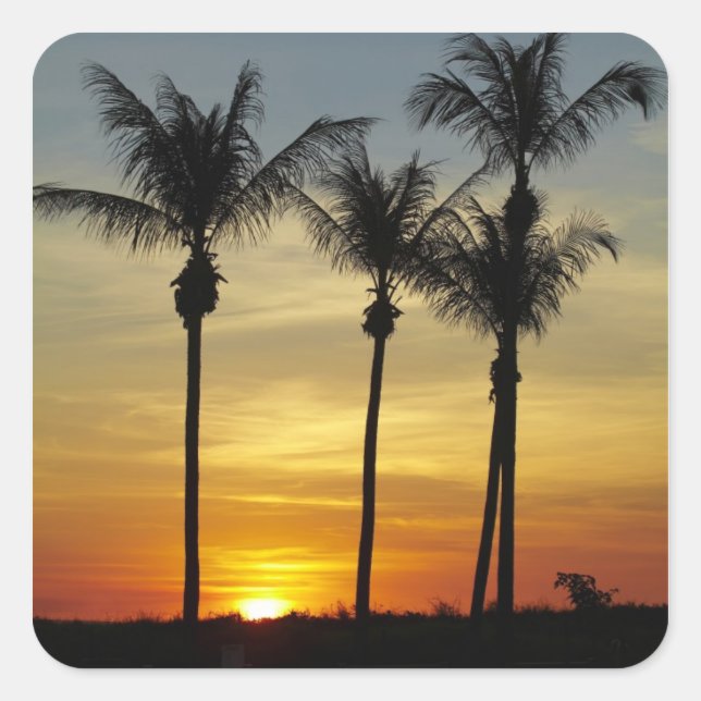 Pegatina Cuadrada Palmeras y puesta de sol, playa de Mindil (Anverso)