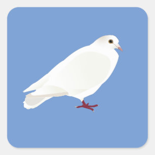 Pegatina Cuadrada Paloma blanca (paloma)