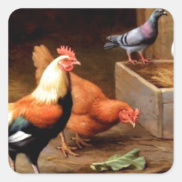 Pegatina Cuadrada Palomas de gallina de gallo