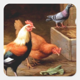 Pegatina Cuadrada Palomas de gallina de gallo