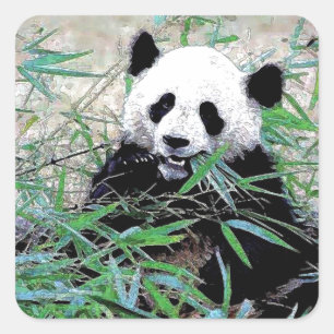Pegatina Cuadrada Panda