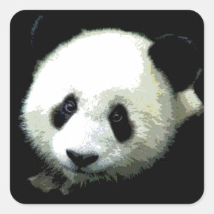 Pegatina Cuadrada Panda