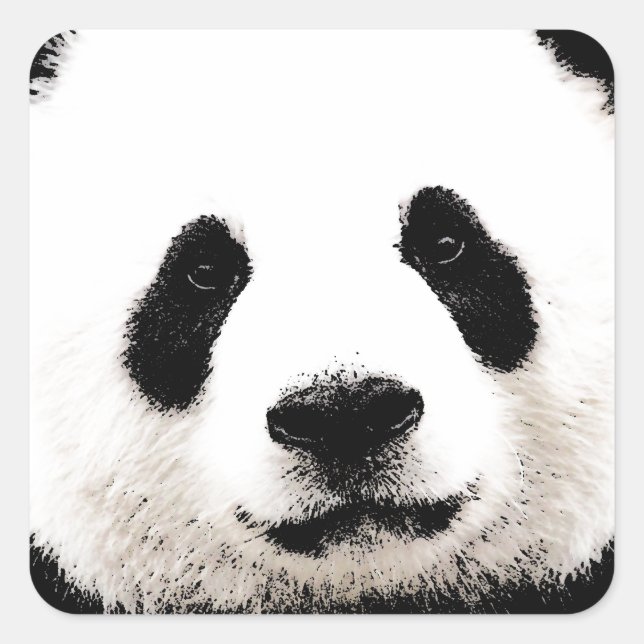 Pegatina Cuadrada Panda (Anverso)