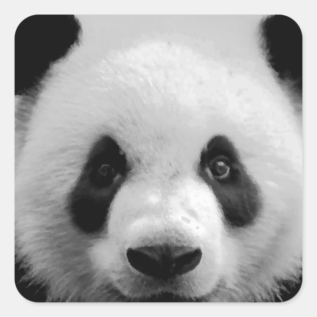 Pegatina Cuadrada Panda (Anverso)