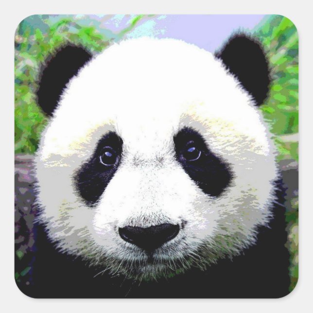 Pegatina Cuadrada Panda Bear (Anverso)