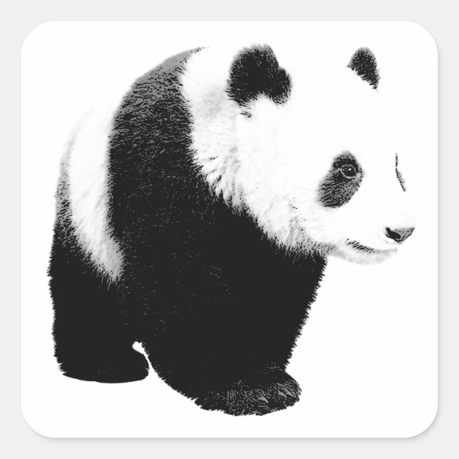 Pegatina Cuadrada Panda blanco y negro (Anverso)