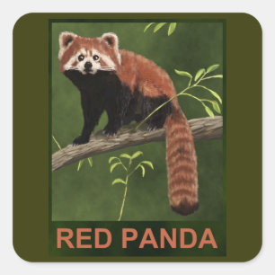 Pegatina Cuadrada Panda rojo