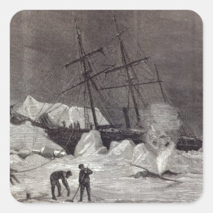 Pegatina Cuadrada Pandora pellizcó en el hielo
