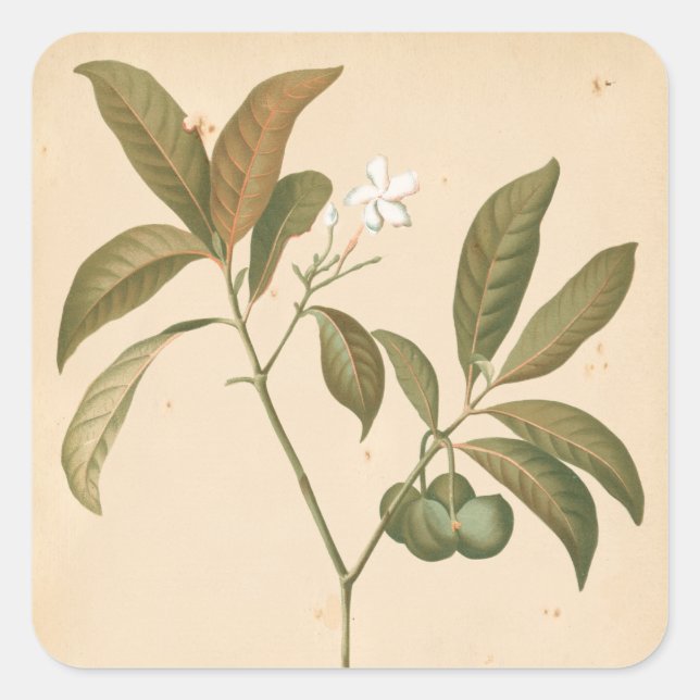 Pegatina Cuadrada Panel de deco de cobalto I (Anverso)