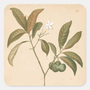 Pegatina Cuadrada Panel deco cobalto I