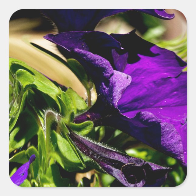 Pegatina Cuadrada Pánico morado (Anverso)