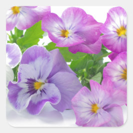 Pegatina Cuadrada pansy