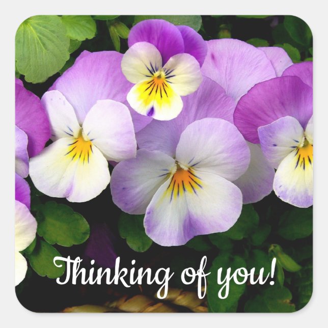 Pegatina Cuadrada Pansy Thinking of You (Anverso)
