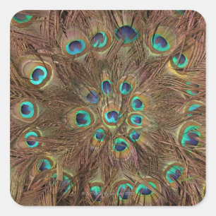 Pegatina Cuadrada Pañuelas de pavo real