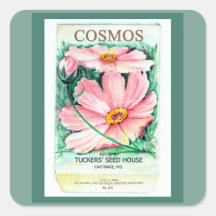 Paquete Cosmos Seed