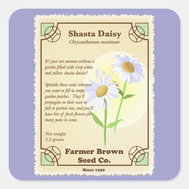 Pegatina Cuadrada Paquete Shasta Daisy Seed (Anverso)