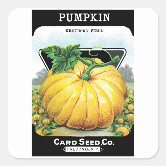 Pegatina Cuadrada Paquetes de semillas de época, calabaza de Hallowe (Anverso)
