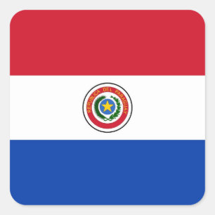 PEGATINA CUADRADA PARAGUAY