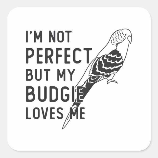 Pegatina Cuadrada Parakeet Lover My Budgie Me Ama Birds Budgerigar (Anverso)