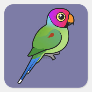 Pegatina Cuadrada Parakeet macho con cabeza de ciruela