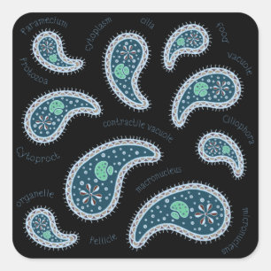 Pegatina Cuadrada Paramecia Paisley Biología Ciencia Microbio Oscuro