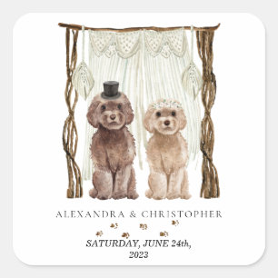Pegatina Cuadrada Pareja de perros Cavapoo marrón decoración