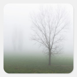 Pegatina Cuadrada Parque cubierto de espesa niebla