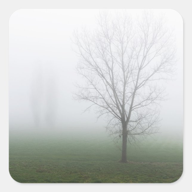 Pegatina Cuadrada Parque cubierto de espesa niebla (Anverso)