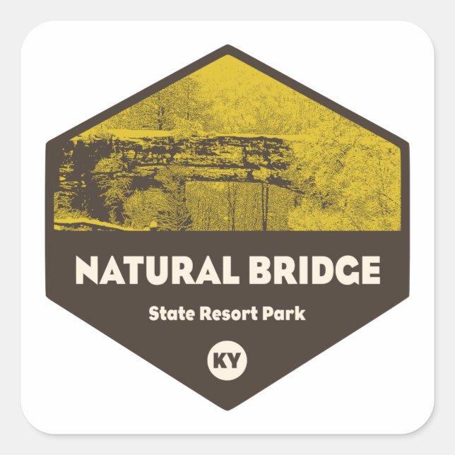 Pegatina Cuadrada Parque de atracciones del estado del puente natura (Anverso)
