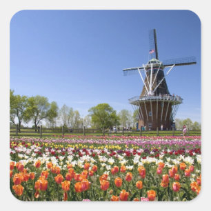 Pegatina Cuadrada parque de la isla del molino de viento con tulipan
